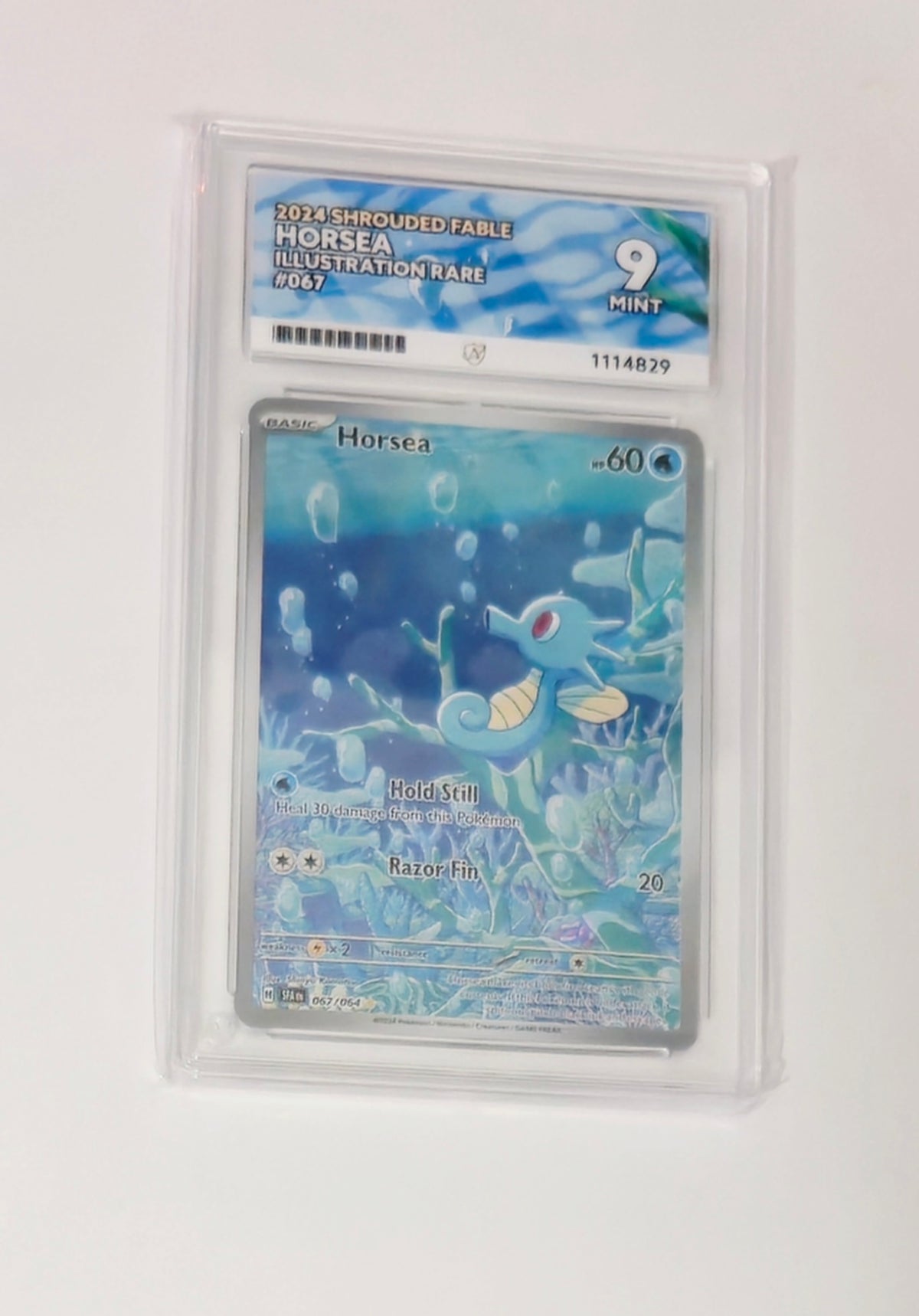 Graded Horsea 067/064 Shrouded Fable Pokémon Illustration Rare card, grade 9, sealed in protective slab